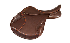 Saddle Range